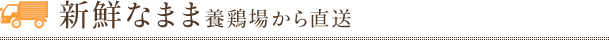 梱包に最新の注意を払っています