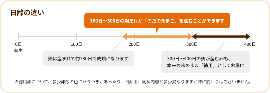 日齢の違い